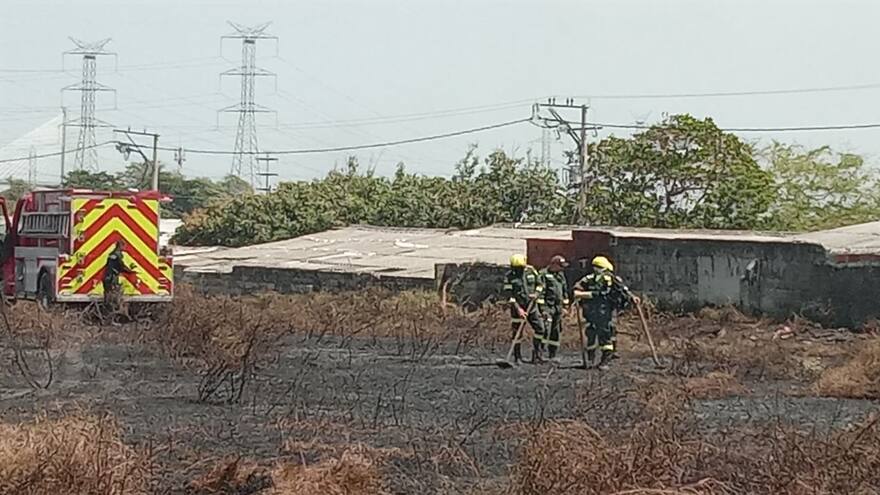 Controlan incendio forestal en inmediaciones del colegio Inem