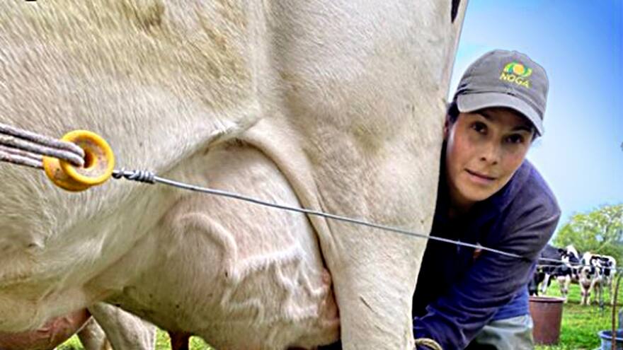 Si la leche tiene precios a la baja desde abril, cuáles son las razones por las que el productor vende más barato