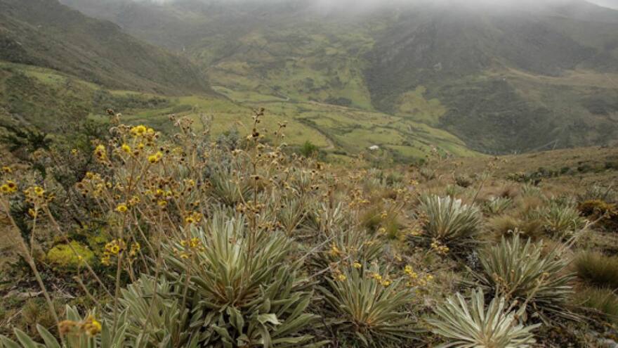 Día de las Montañas: Minambinete asegura que Colombia tiene 50% de páramos del mundo