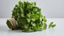 Así puede conservar el cilantro fresco en la nevera por más tiempo