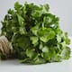Así puede conservar el cilantro fresco en la nevera por más tiempo