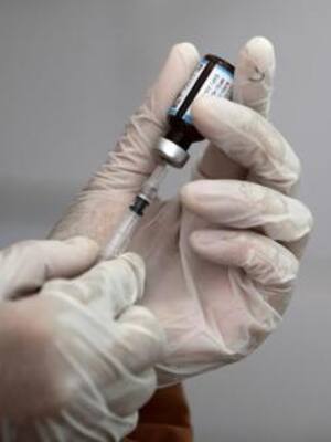 ‘Vaccine’, casonas, elefantes