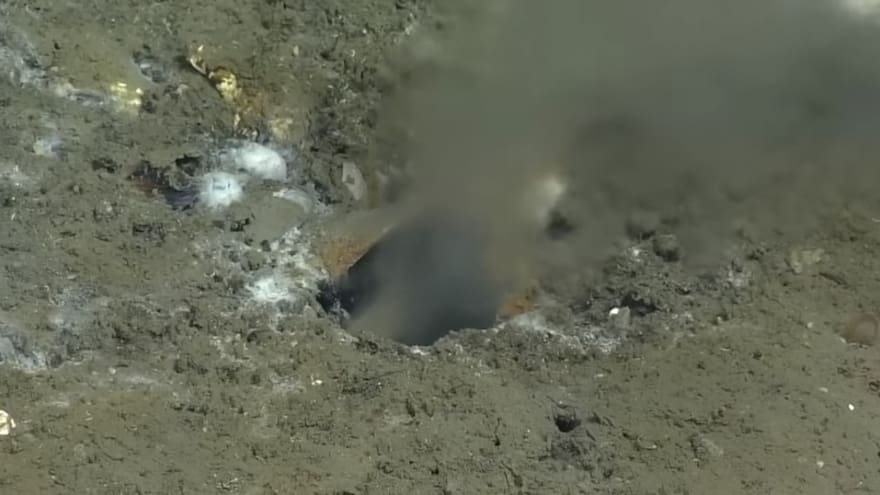 Hallan grieta en el océano Pacífico cerca de zona de alto riesgo sísmico