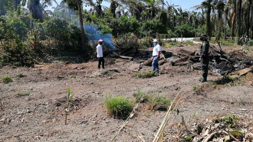 Llaman la atención a palmicultores por quema de residuos del cultivo