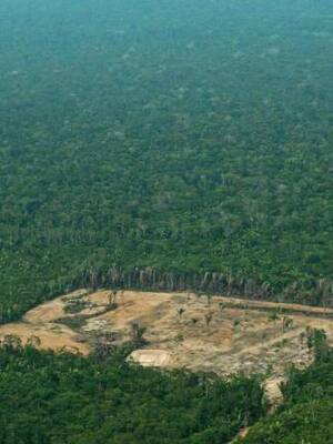 Amazonia en peligro
