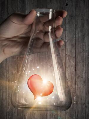 La química del amor