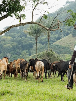 Entre Navidad y Año Nuevo