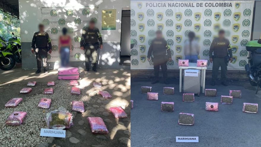 Incautan 52 kilos de marihuana en el peaje de Tucurinca