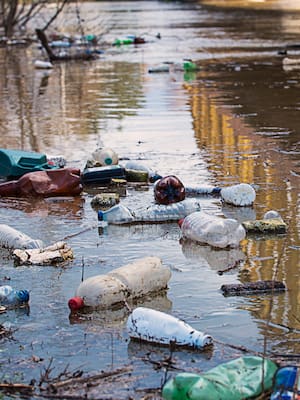 Basura muerta en el río