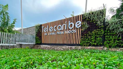 Gerente de Telecaribe se pronuncia ante las investigaciones de la Procuraduría