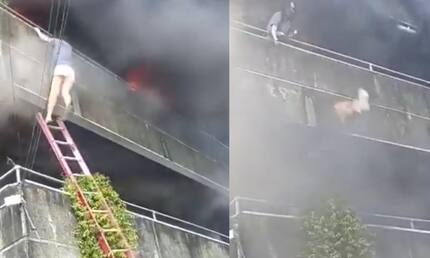 Video: mujer arriesgó su vida y salvó a sus dos perros durante un voraz incendio