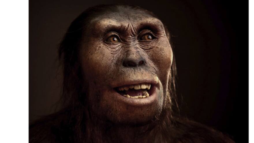 Esta fue la causa de muerte de Lucy, el ancestro más antiguo de los humanos