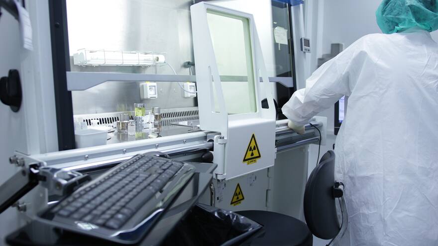 Virus de murciélago similar al covid es capaz de entrar en células humanas