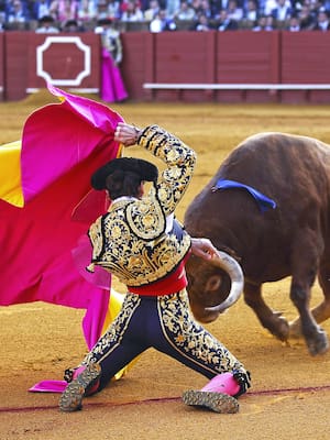 La muerte del matador | Columna de Catalina Rojano