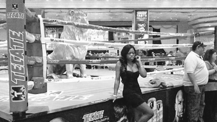 ‘La pelea del siglo’ genera alerta