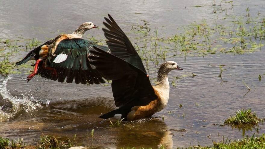 Autoridades ambientales hacen un llamado a los turistas