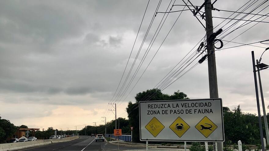 Pasos de fauna reducen muertes de animales