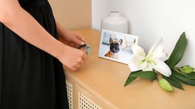 ‘Tu huella en mi vida’, un libro para comprender el duelo por una mascota