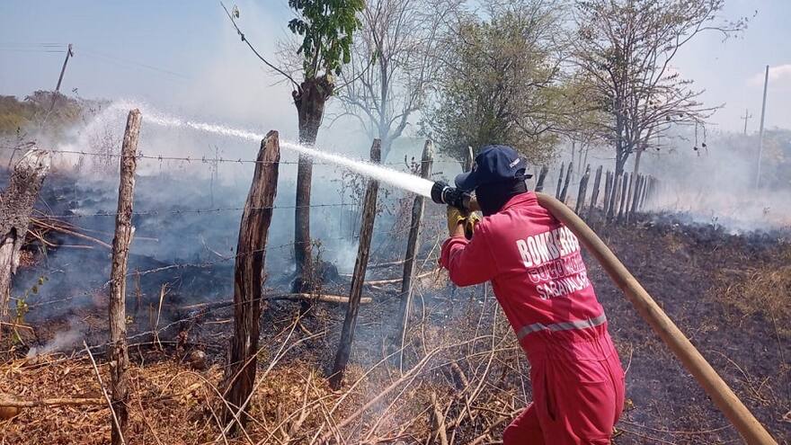 Incendios forestales en el Caribe, una alerta que va en aumento