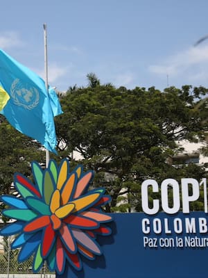 La COP 16 en Cali: una apuesta por la biodiversidad
