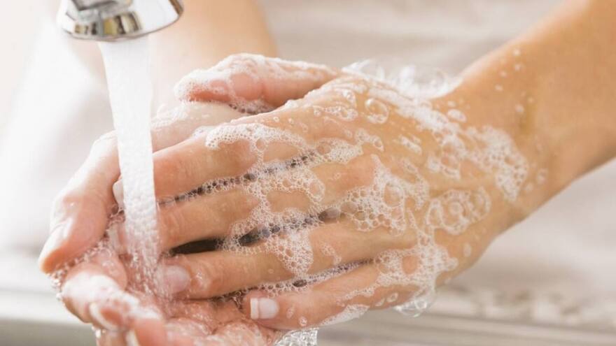 La higiene de manos puede evitar la transmisión del 80 % de infecciones