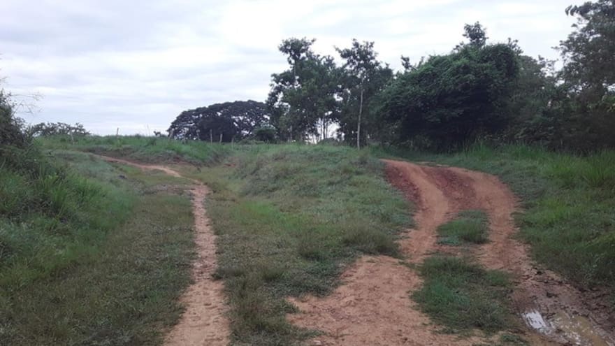 Campesino murió por mordedura de serpiente en Montería