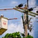 Adjudican a Canadian Solar sistema de almacenamiento de energía con baterías en Atlántico