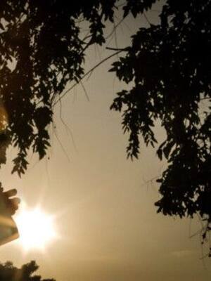 Arte-dinero, Amira, costeños | Columna de Enrique Dávila