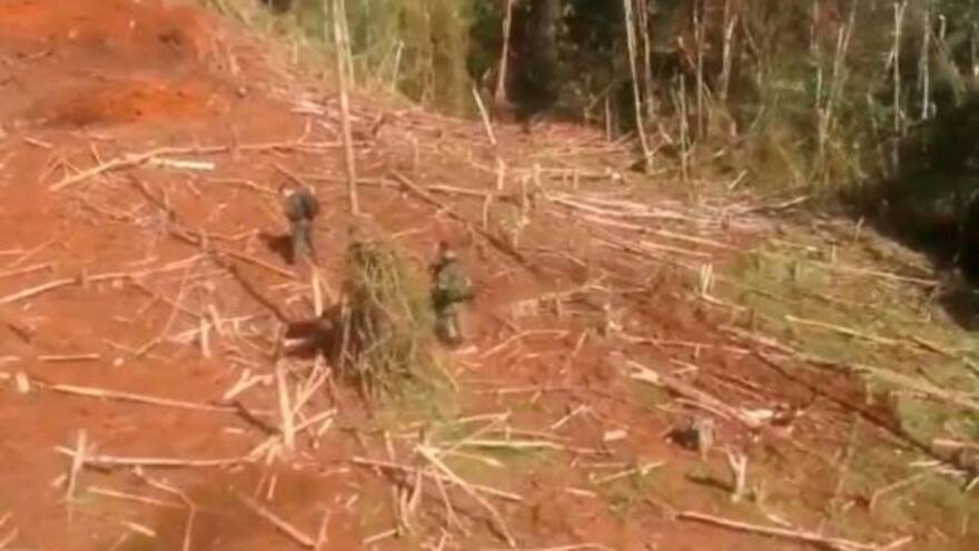 'Hasta el momento hemos identificado a nueve cadáveres': Mindefensa