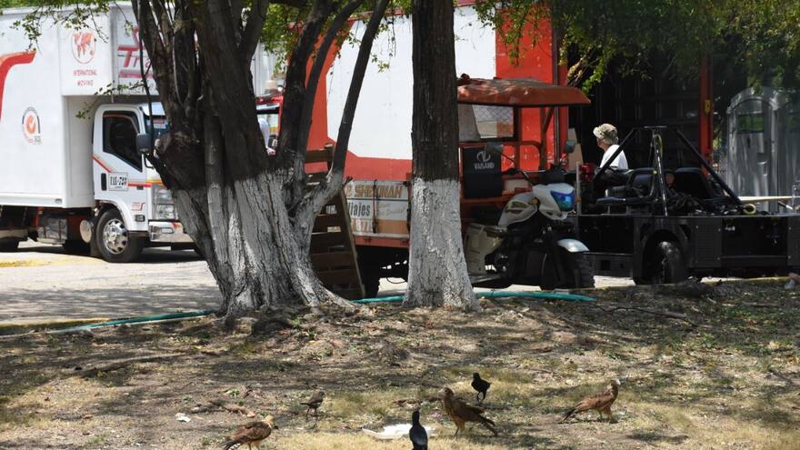 Los Gavilanes de La Marina, un impase para el film de Will Smith