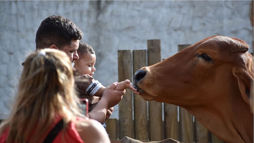 Zoológico de Barranquilla recibe reconocimiento por el Ministerio de Ciencia