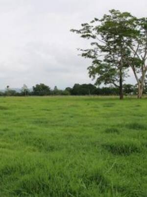 Confianza inversionista