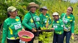 59,4 kilos de productos orgánicos recolectados en “Gran cosechatón” en Las Gardenias