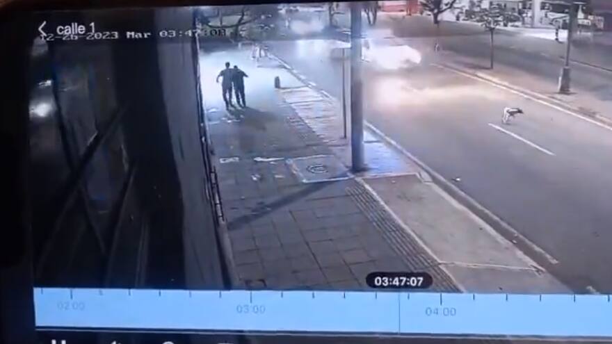 Bucaramanga: patrulla militar arrolló a un perro y luego huyó
