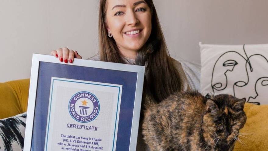 Conozca a Flossie, la gata viva más longeva del mundo con casi 27 años