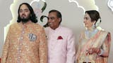 Él es Anant Ambani, el multimillonario indio que quiere trasladar los 80 hipopótamos