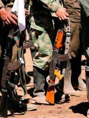 Viani le apuesta a la paz| Columna de Néstor Rosania