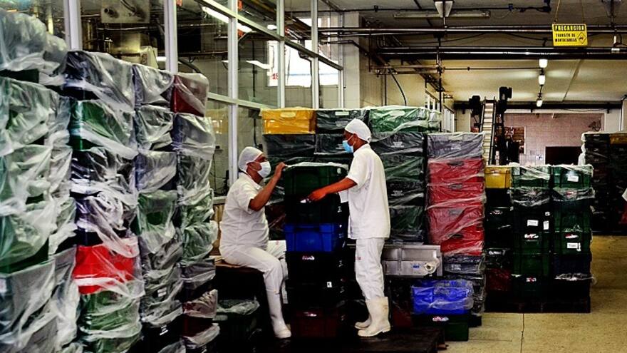 Investigan a cuatro empresas por adicionar lactosuero a la leche