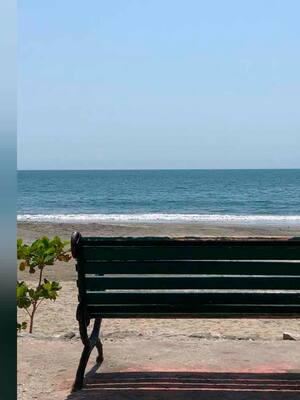 Las cosas que me has enseñado