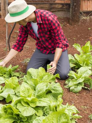 Ojo con el agro | Columna de Indalecio Dangond