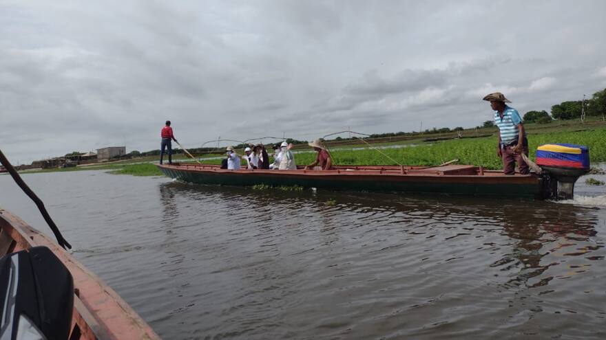 Sucre: ANT comenzará el proceso de deslinde de ciénagas