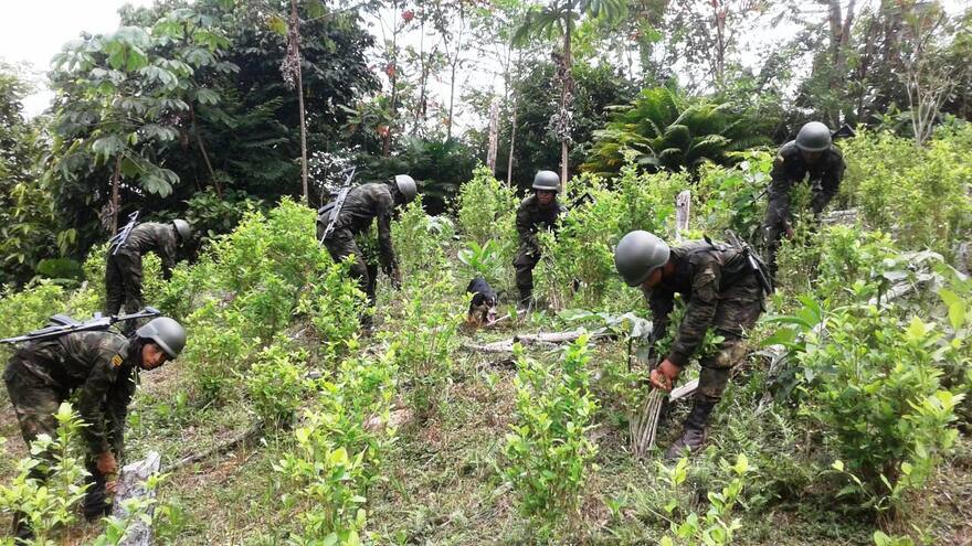 EE. UU. buscará recortar recursos para la lucha antinarcóticos en Colombia