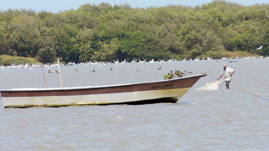 Con crédito de la AFD, Distrito financiará proyectos ambientales