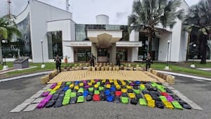 Incautan 1,2 toneladas de marihuana ocultos en un camión cargado de banano