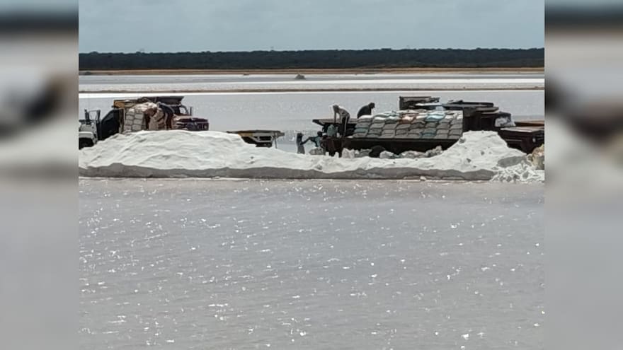 Sindicato de Salinas pide a directivas modificar estatutos para recibir salvavidas financiero