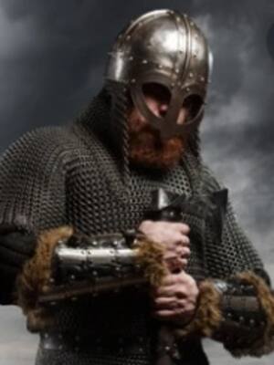 ¿Vikingos en el Caribe?| columna de Orlando Araújo F.