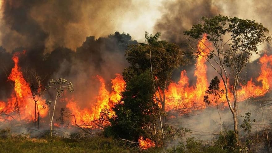 “Cambio climático hizo más extremos los megaincendios de 2023/24”