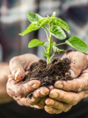 El tahine y la vida | Columna de Yamid Amat Serna