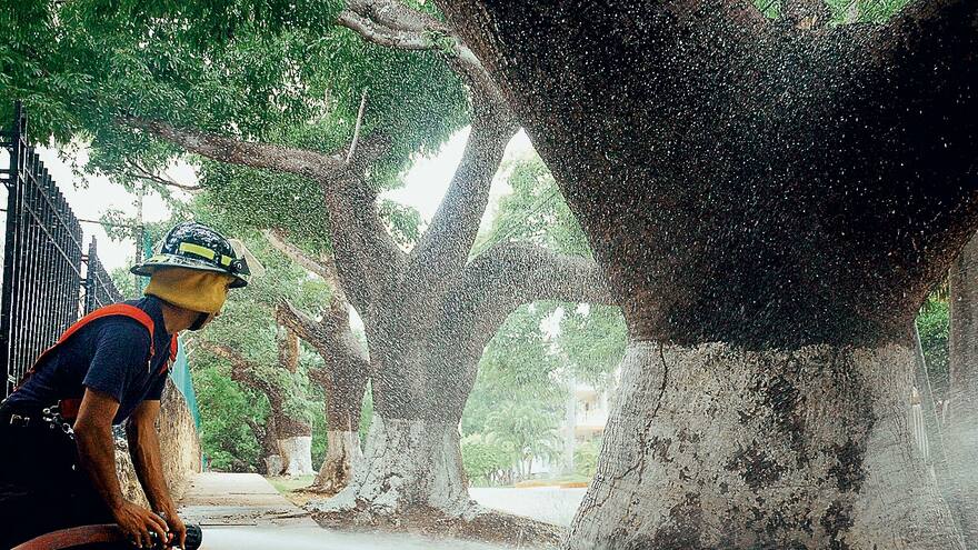 En imágenes | Mejores fotografías de Carlos Rincón