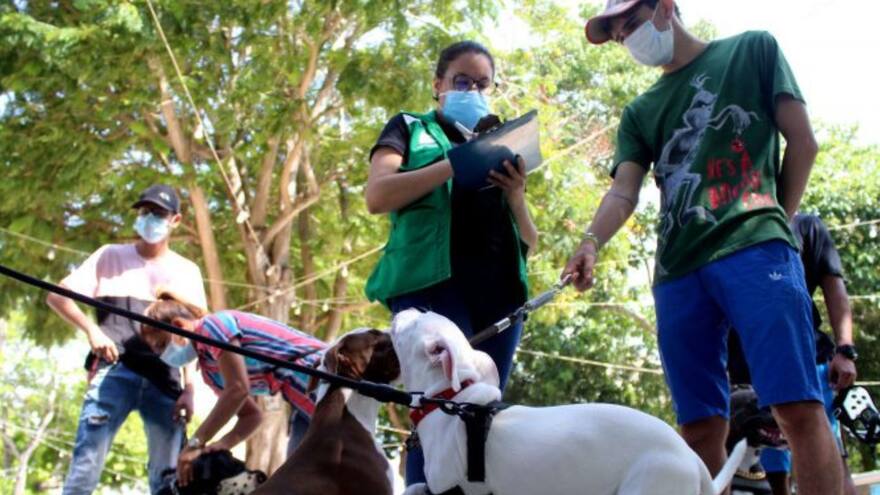 Distrito convoca a Gran Jornada de Bienestar Animal este sábado